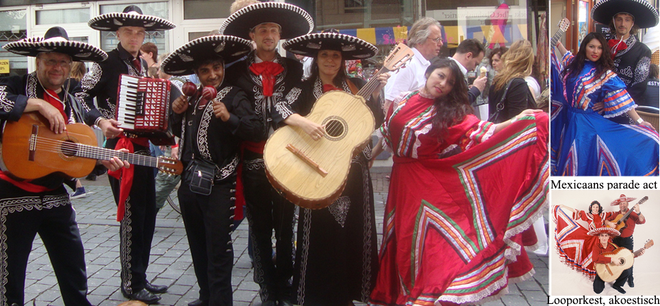 Waarvoor is een Mariachi Band geschikt?